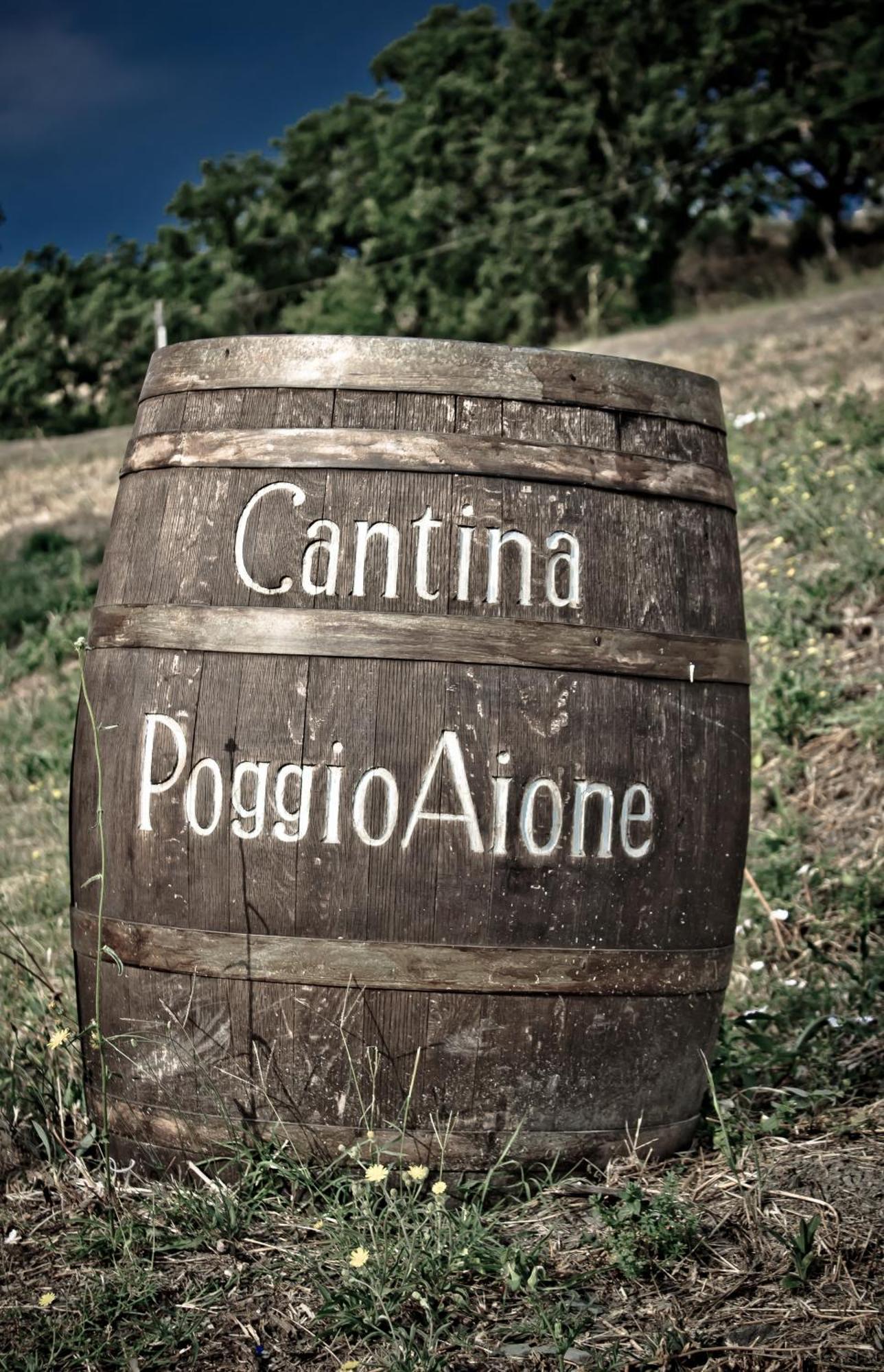 Country House Poggio Aione Guest House Catabbio Exterior photo