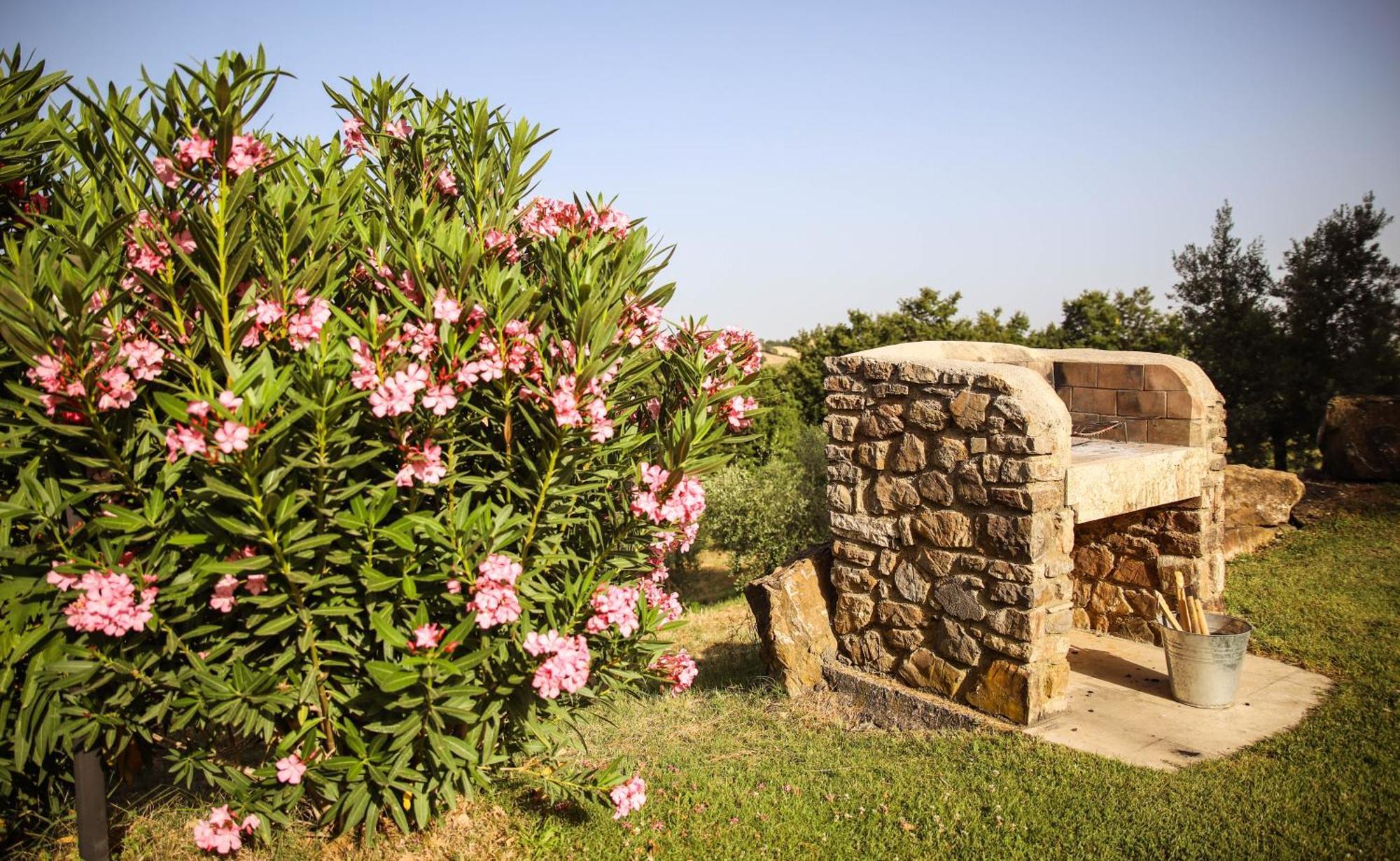 Country House Poggio Aione Guest House Catabbio Exterior photo